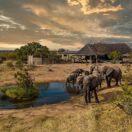 Imagine Africa Luxury Tented Camp Balule Game Reserve Eksteriør bilde