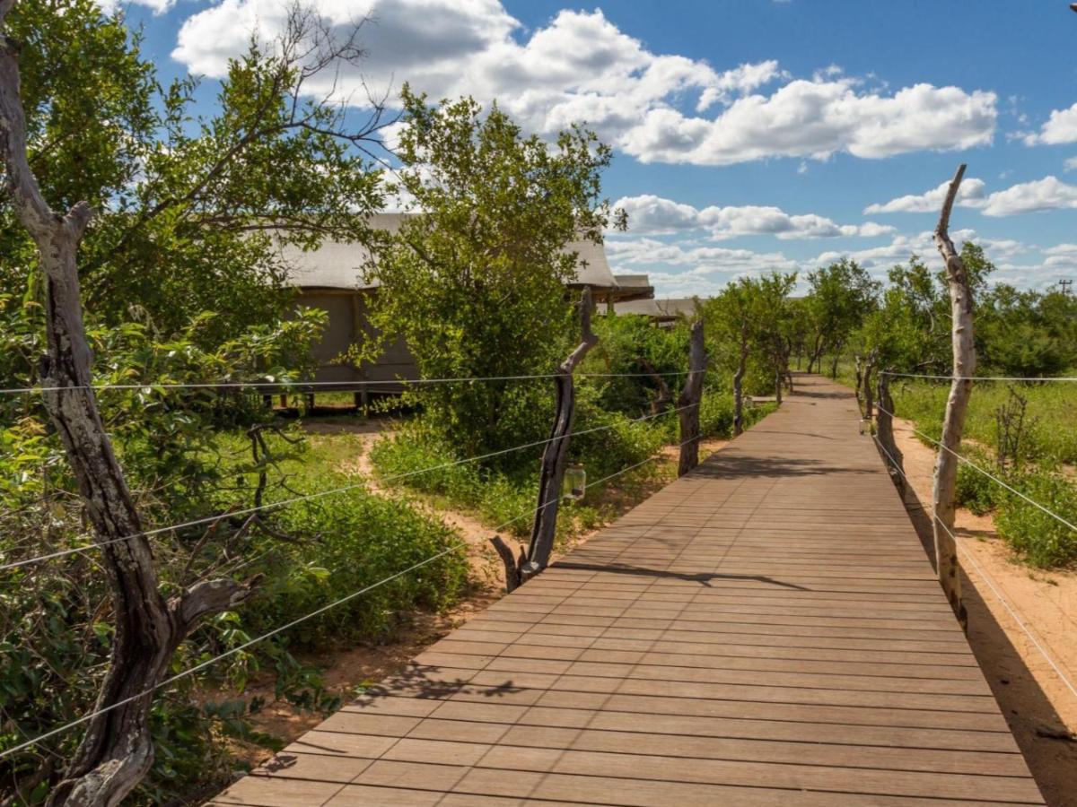 Imagine Africa Luxury Tented Camp Balule Game Reserve Eksteriør bilde