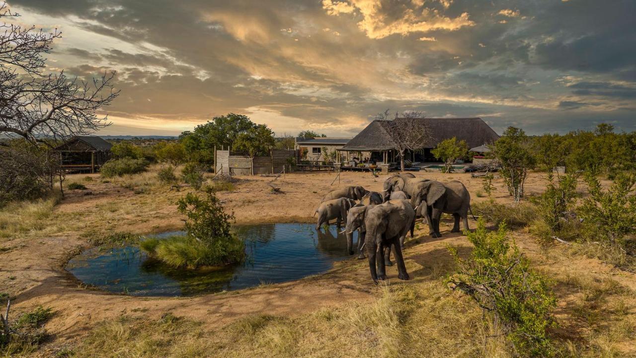 Imagine Africa Luxury Tented Camp Balule Game Reserve Eksteriør bilde