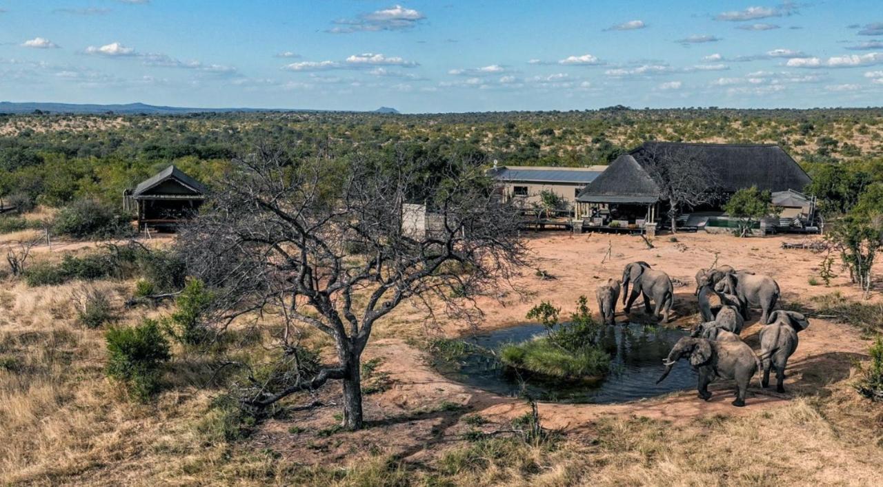 Imagine Africa Luxury Tented Camp Balule Game Reserve Eksteriør bilde